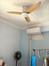 Blk 736 Tampines Green Vale (Tampines), HDB 4 Rooms #522870641